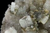 Columnar Calcite Crystal Cluster on Quartz - China #164005-1